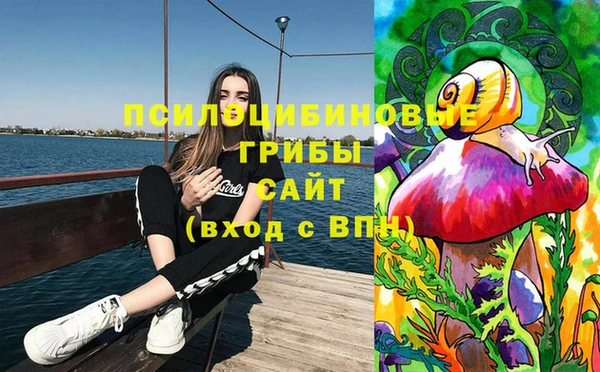дживик Абдулино