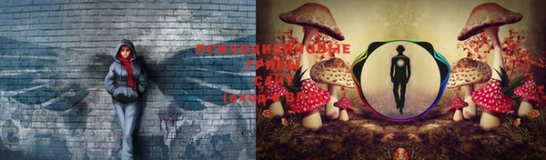 mdma Абаза