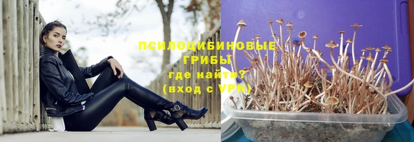 хмурый Абинск