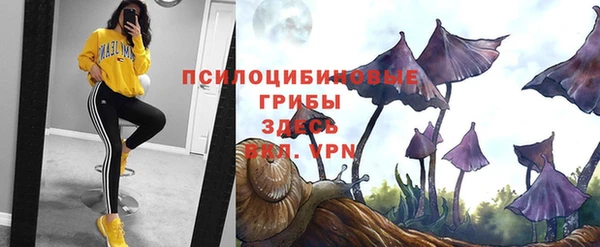 гашиш Лабытнанги